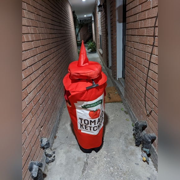 Costume - Picture 2 of 2